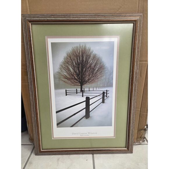 Solitude by David Lorenz Winston Art Print Tree Landscape Double Mat Framed
